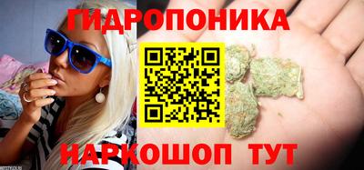 спиды Ковров