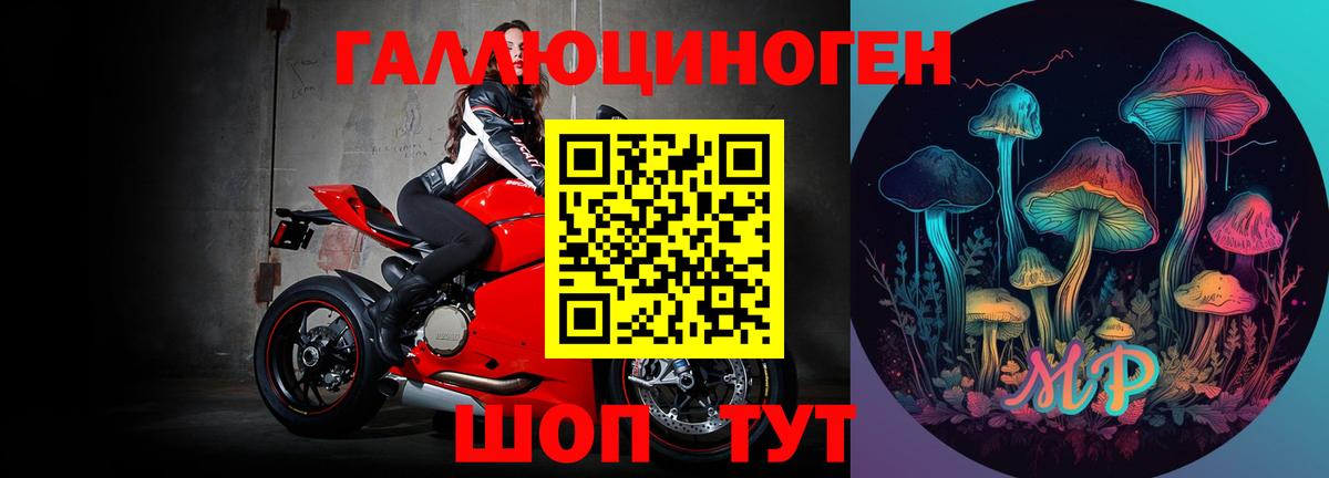 Горно-Алтайск  закладки  Вход с VPN  Псилоцибиновые грибы MAGIC MUSHROOMS 